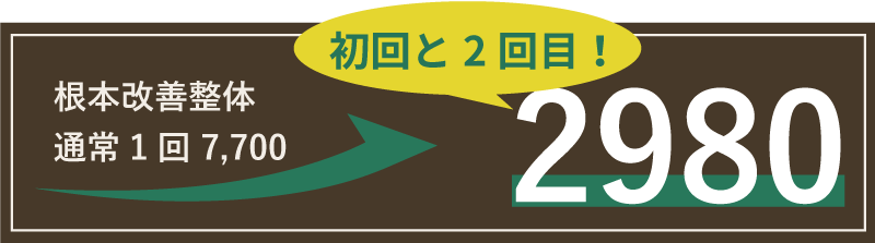 ご新規様限定通常1回7700円が2回で2980円