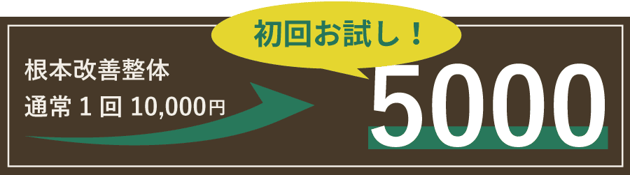 ご新規様限定通常1回10000円が初回お試し5000円