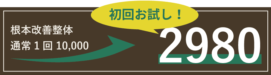 ご新規様限定通常1回10000円が初回お試し2980円