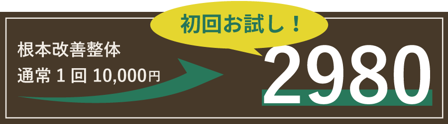 ご新規様限定通常1回10000円が初回お試し2980円